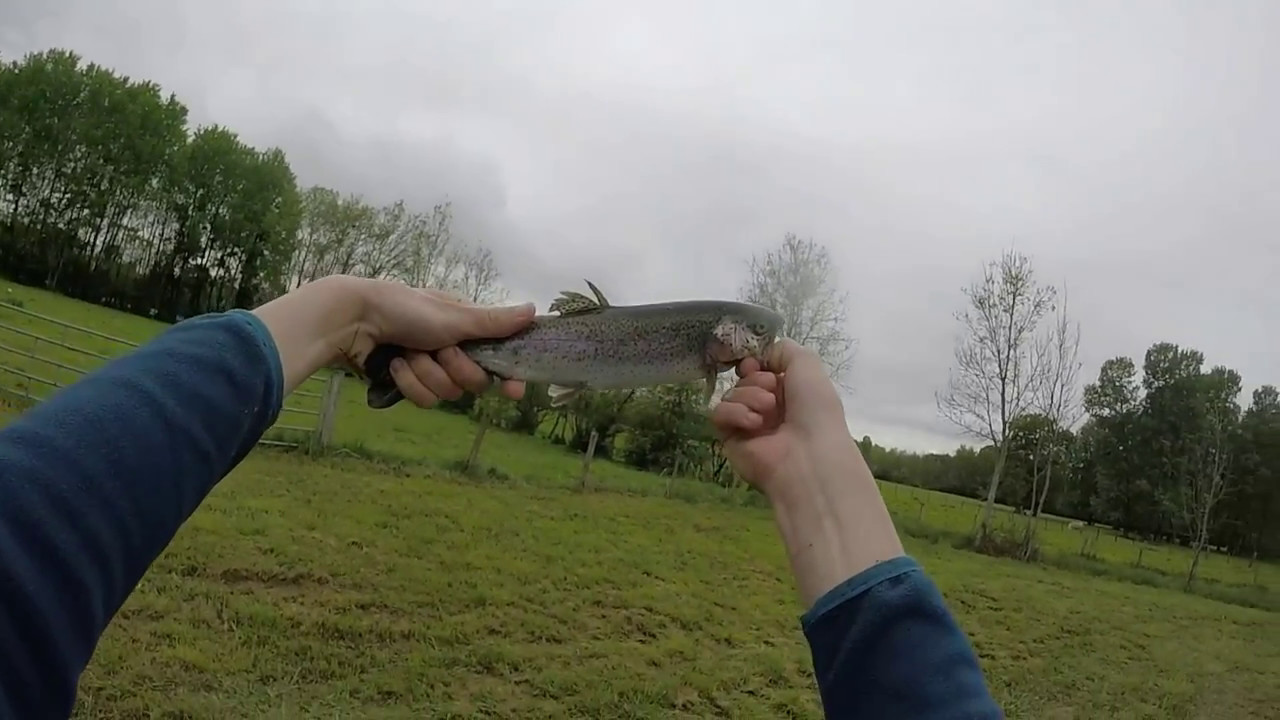 etang truite 43