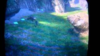 Mongoose double kill