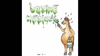 Marģeris Zariņš Concerto Innocente Fragments