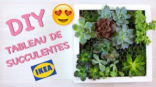 DIY - Comment créer un tableau de succulentes | Cadre végétal avec plantes grasses made in IKEA #2