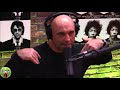 joe rogan talks weed and cbd