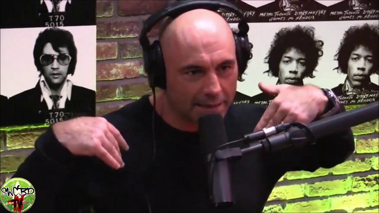 joe rogan talks weed and cbd
