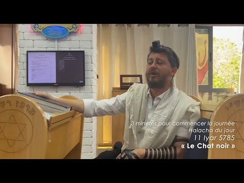 3MN DE TORAH POUR COMMENCER LA JOURNÉE - LE CHAT NOIR 🐈‍⬛