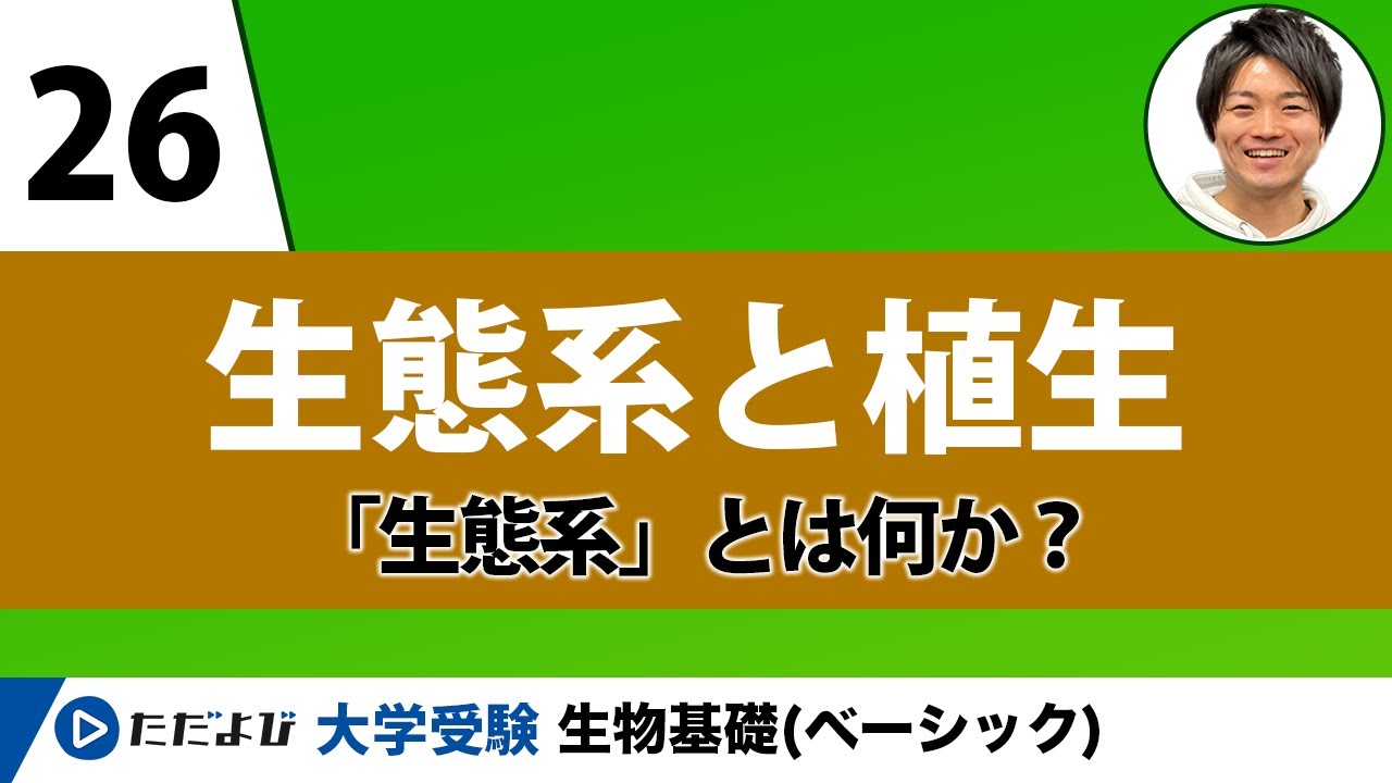 植物生態学論考 地生態学からみた日本の植生 | 小泉 武栄 |本 | 通販 | Amazon
