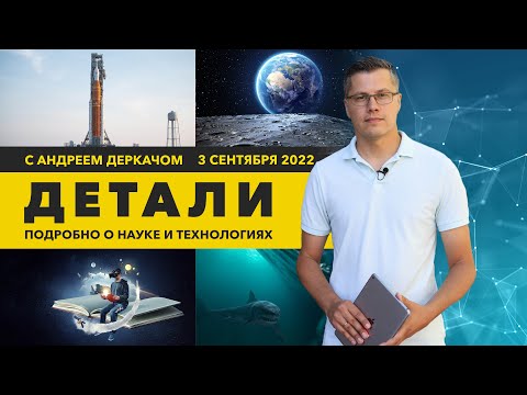 Колония людей в лунных пещерах и книги, оживающие на глазах | «Детали»