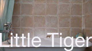 Download Lagu Kathi Deakin - Little Tiger (Official Lyric Video) MP3