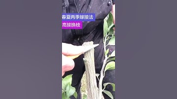 # Cảm ơn bạn chính thức # công nghệ nâng cấp # hướng dẫn nâng cấp