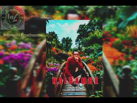 DJ Lucky Thendo - Sobonana Emathuneni (Official Audio)