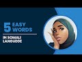 Learn easy 5 word in the somali language