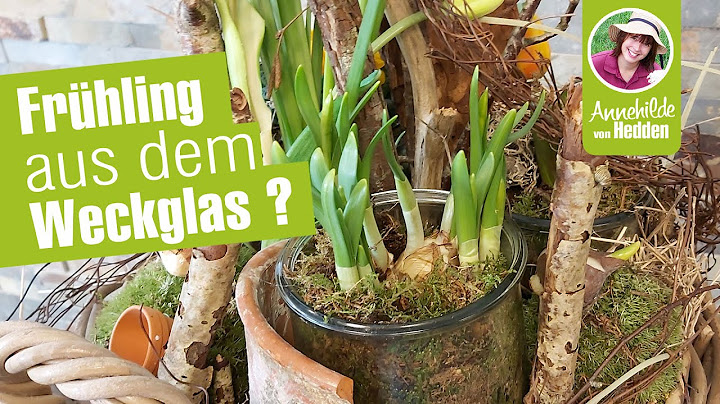Statt einkochen - Frühjahr ins Glas - Frühlingsdeko im Weckglas