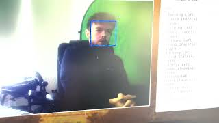 Face Tracking Demo