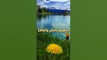 يَا أَيُّهَا الَّذِينَ آمَنُوا اسْتَعِينُوا بِالصَّبْرِ وَالصَّلَاةِ ۚ  ❤️#سورة_البقرة #راحة_نفسية