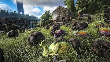 Spotlight: Dimetrodon & Dung Beetle!