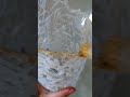 ¡ No Lo Tires! Restaura un Jarrón de Cristal Roto con Silicona y Pintura Dorada ¡ Resultado Mágico!