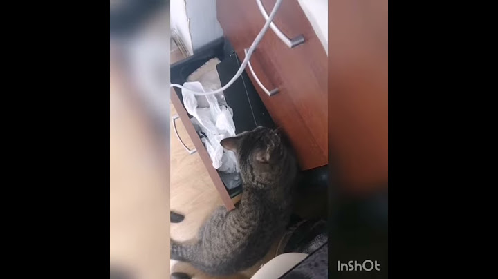Ты куда шлем дел, лишенец?! ( "Джентльмены удачи")
