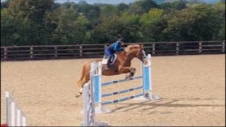 Ruffles CCR jumping 90cm and 1m courses