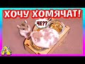 Милки против ХОМЯЧАТ! / Свадьба Третий День / Alisa Easy Pets