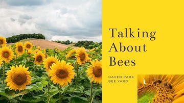 Bee Nucleus Install / Flow Hive 2