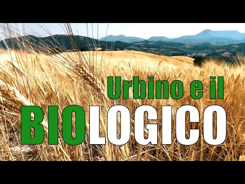 Urbino e il biologico