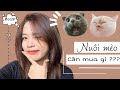 BẮT ĐẦU NUÔI MÈO CẦN CHUẨN BỊ GÌ ??? | HWAJANG