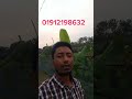 একটা পাত্রি চায় আজিম #reels #viralvideo #popular #viralvideo #shortsyoutube