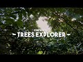 Exploring the trees with my cinewhoop fpv drone  reptile cloud 149 with gopro  blusukan buperta