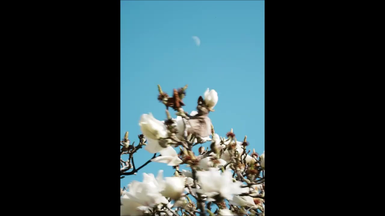 MESEČNI HOROSKOP ZA MART 2026.- 0D OVNA DO PODZNAKA U DEVICI