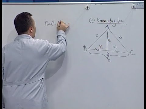 Üçgende Kesişen Doğrular,Kenar Ortay Bağıntıları - BİL IQ YGS Geometri Eğitim Seti