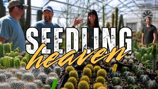 Inside Our Nursery: Seedling Heaven & What's Coming Next