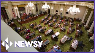 The Importance Of The Electoral Count Act