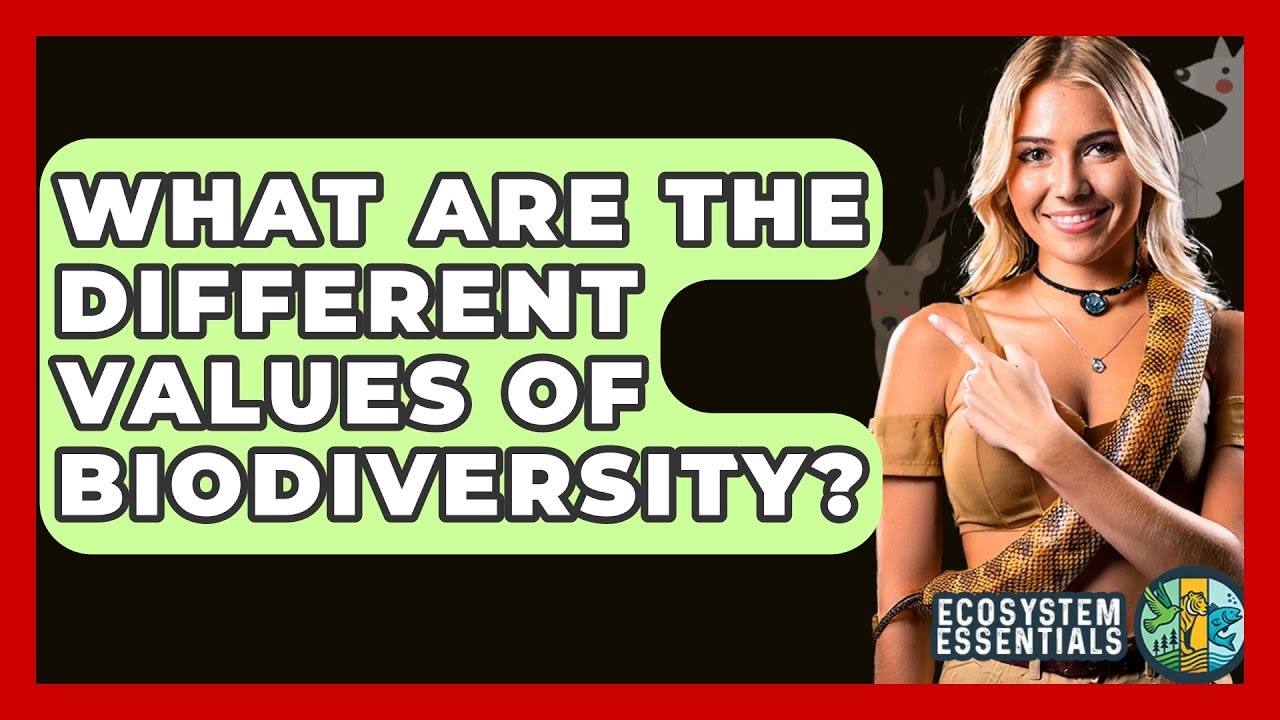 What Are The Different Values Of Biodiversity? - Ecosystem Essentials
