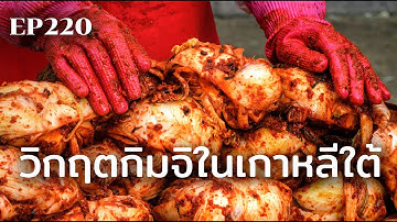 วิกฤตกิมจิในเกาหลีใต้ | ร้อยเรื่องรอบโลก EP220