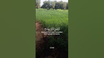 تلاوة خاشعة تريح الروح بصوت جميل 🥰