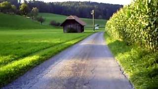 Carving Schwarzenburg 2010 09 13