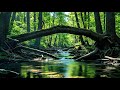 Escape Anxiety 🌊 Relaxing River Flow for Restful Sleep &amp; Inner Peace