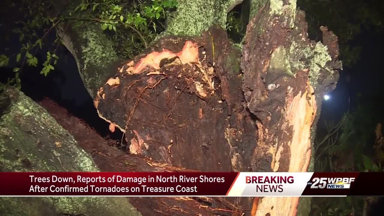 Tornado downs trees in North River Shores - YouTube