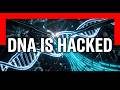 Scientists Just Found a Hidden Code in Human DNA