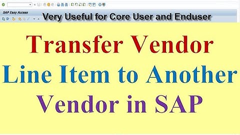 How to transfer Vendor Line Item to another Vendor in SAP - 天天要闻
