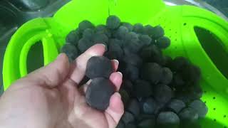 Qoz Mürəbəsinin Hazırlanması