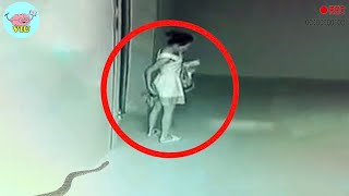Incredible Moments Caught on Camera !