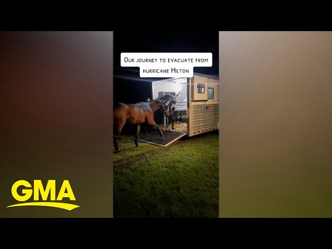 Florida horse community unites to help save animals ahead of Hurricane Milton