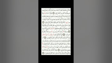 القران الكريم| القارئ ياسر الدوسري صفحة 21 سورة البقرة