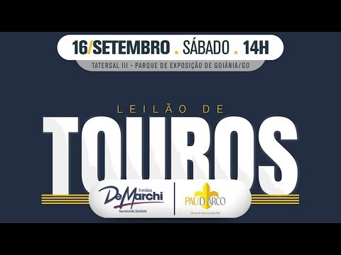 Lote 17 (Maldo IDM - IDM 4841)