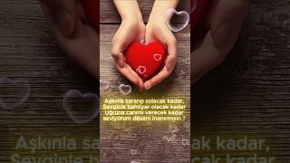 Seviyorum Desem İnanır Mısın? Sevgiliye Kısa Şiir (Sesli)