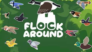 Flock Around: A Breakdown
