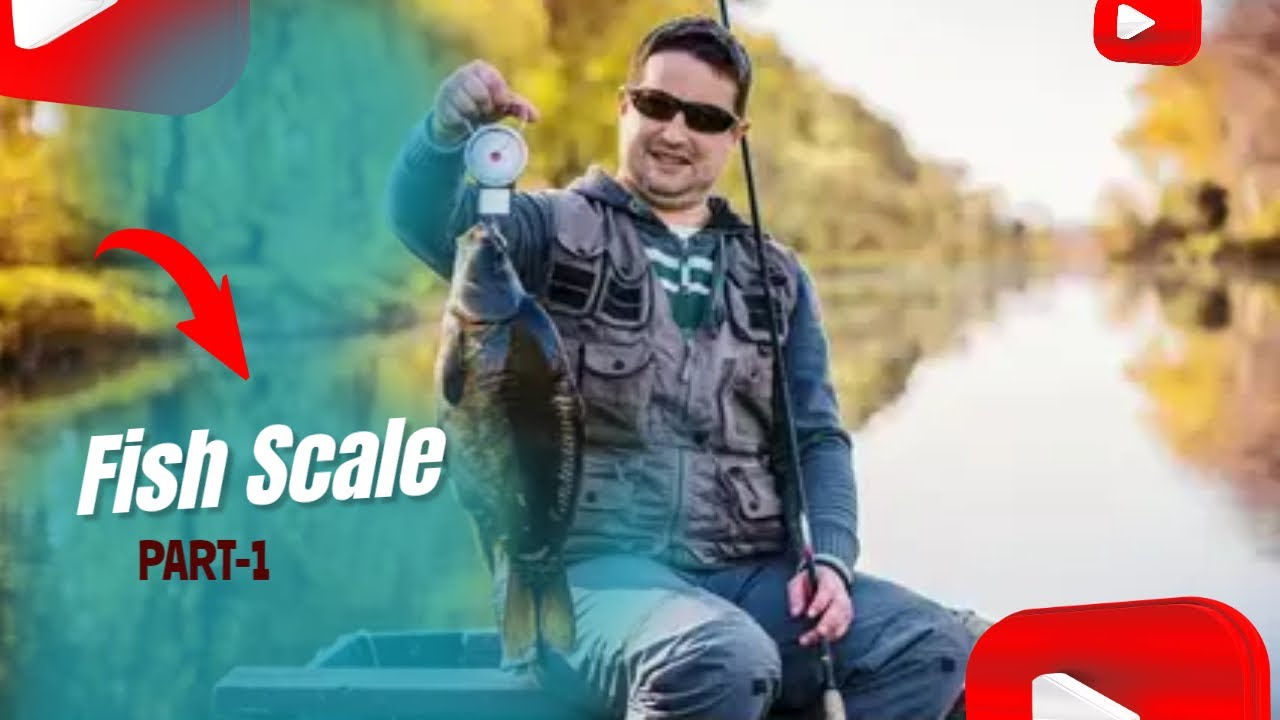 Fish Scale ।।  Part-1 ।।  Amazon Products  ।।