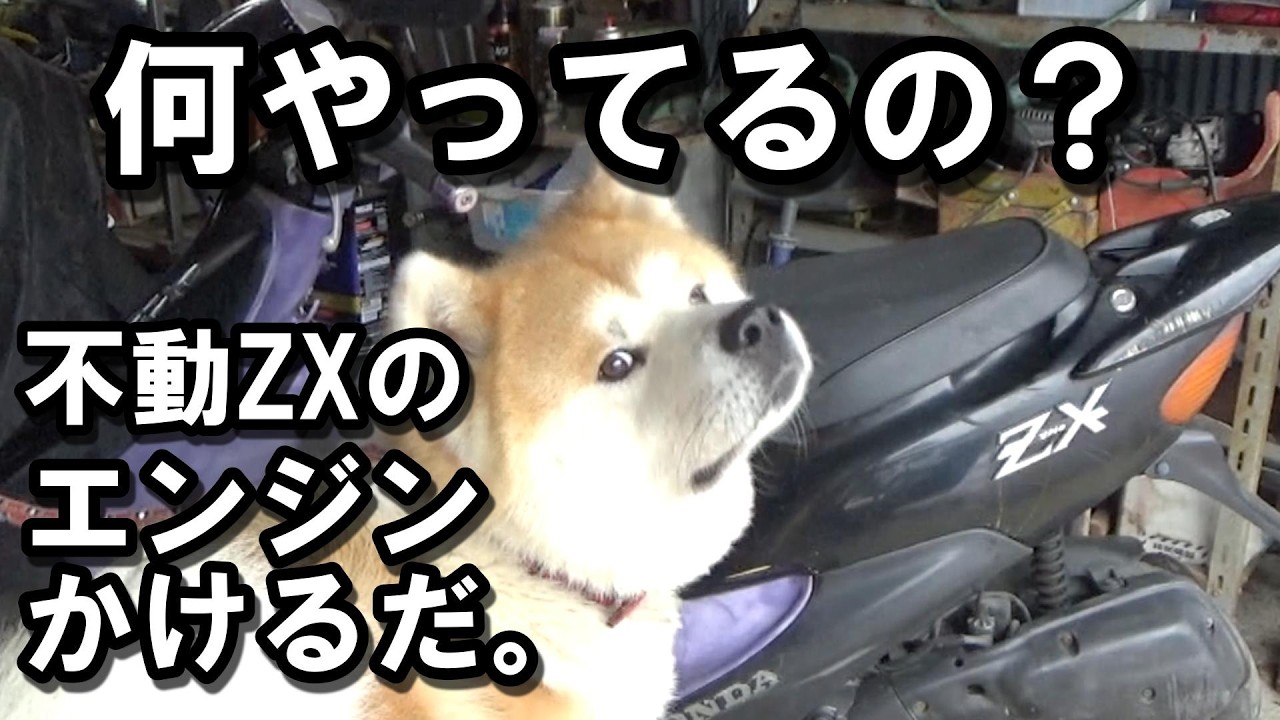 エンジン始動動画あり泉大津市助松ギア2 不動！AF35ラブディオZXエンジン始動までの手順の巻 - YouTube