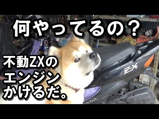 不動！AF35ラブディオZXエンジン始動までの手順の巻 - YouTube