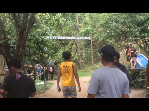 Video: Ang Hito Ay Isang Higanteng Tubig-tabang. Mga Gawi At Tampok
