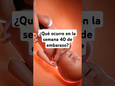 🤔 ¿Qué ocurre